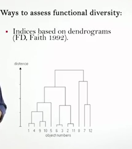 Functional Denmdrogram 5.1 Functional diversity – Mathieu GT